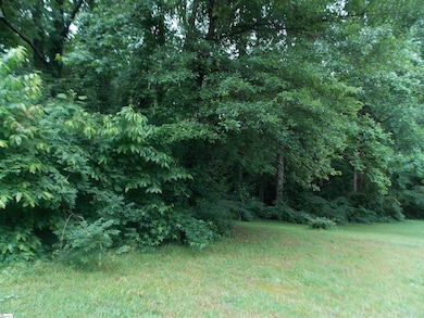 311AA Shirley Rd, Piedmont, SC 29673 - photo 6