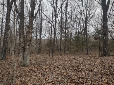 IMG_20250308_123903536_HDR
