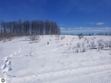 13507 S Bahia Vista Dr unit 16, Traverse City, MI 49684 - photo 6