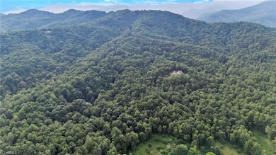 0 Bell Mountain Rd unit 1188541, Walnut Grove, NC 28635 - photo 2