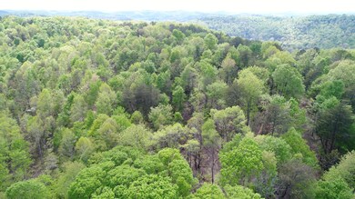 1234 Pine Ridge Rd, Somerset, KY 42501 - photo 7