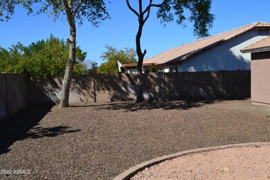 Backyard2
