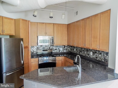 4490 Market Commons Dr unit 310, Fairfax, VA 22033 - photo 3