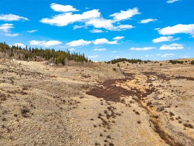 1950 Travois Rd, Como, CO 80432 - photo 6