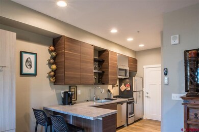 610 E 8th Ave unit 210, Durango, CO 81301 - photo 2