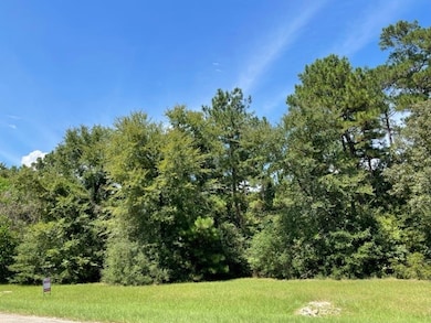 24680 Oak Hollow Blvd, Hockley, TX 77447 - photo 2