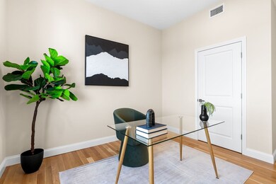 16 Taber St unit 402, Boston, MA 02119 - photo 5