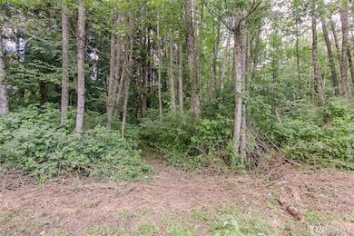 0 317th St NW, Stanwood, WA 98292 - photo 2