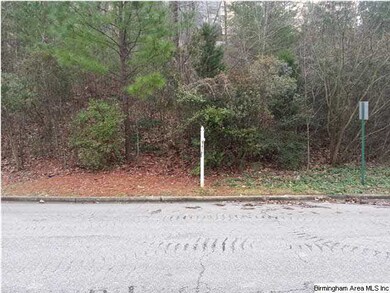 Beautiful sloping lot in Mountain Brook on a cul d