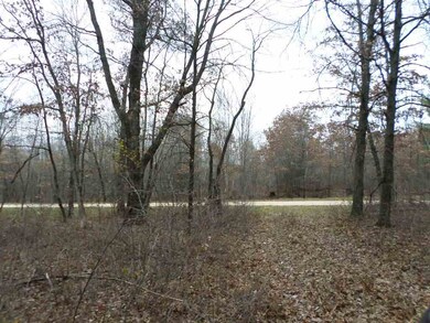 20 Ac 22nd St, Camp Douglas, WI 54618 - photo 4
