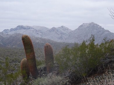Unusual sight..snow in Fountain Hills!