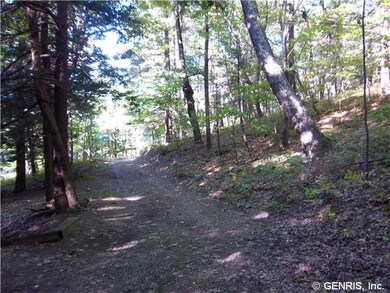 Land. Your cabins sit about 1/4 mile back from Wes