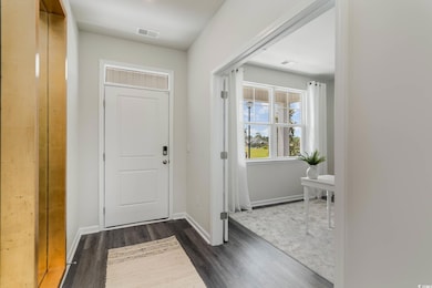 Foyer entrance with dark wood-style flooring and baseboards