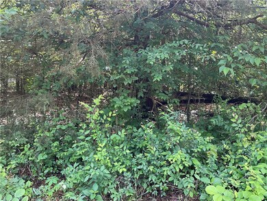 0 Whitfield Ln, Bella Vista, AR 72715 - photo 3