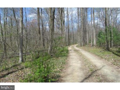 SR-0895 Millers Crossing Rd, West Brunswick Township, PA 17961 - photo 3