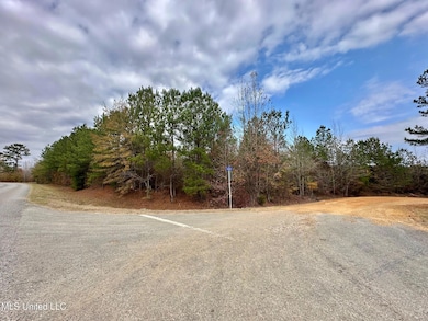 6 County Road 3122, McCool, MS 39108 - photo 5
