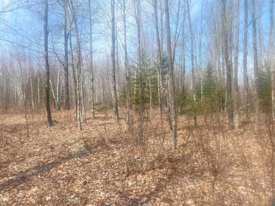 View of landscape with a wooded view