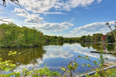209 Riverview Ave unit 10, Auburndale, MA 02466 - photo 5