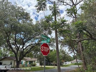 Lot W290 Navajo Trail, Spring Hill, FL 34606 - photo 3