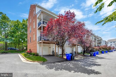 715 Massey Ln unit A, Alexandria, VA 22314 - photo 4