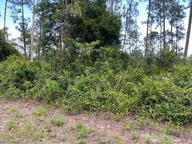 1808 Robert Ave, Lehigh Acres, FL 33972 - photo 4