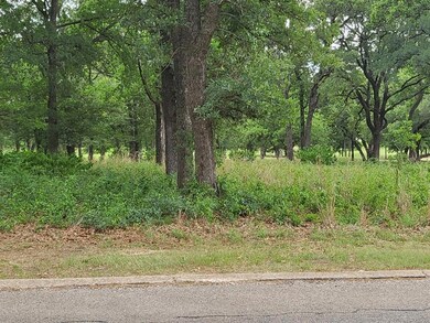 27129 Whispering Meadow Dr, Whitney, TX 76692 - photo 5