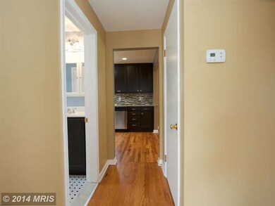 5904 Eurith Ave, Baltimore, MD 21206 - photo 6