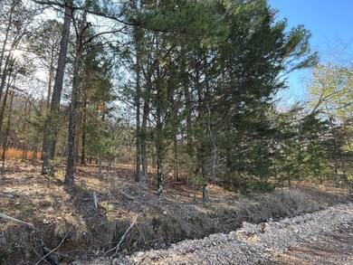 331 Bailey Blvd, Tahlequah, OK 74464 - photo 3