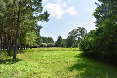 Lot 3 Woodlawn Dr, Clarksville, VA 23927 - photo 2