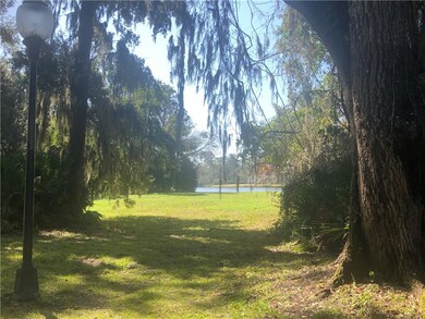 Lagoon view through the canopy of trees.