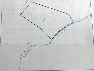 TBD Rich Hills Rd, Monterey, VA 24465 - photo 6