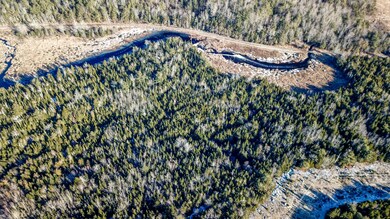 Boggy Brook