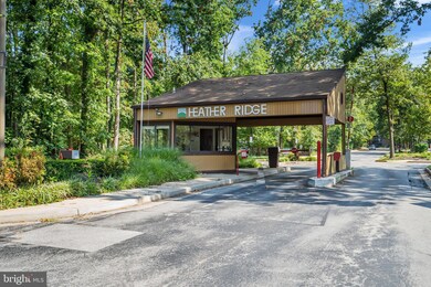 Heather Ridge unit 300, Baltimore, MD 21209 - photo 4