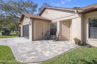 6732 Oak Cluster Cir, Spring Hill, FL 34606 - photo 4