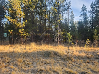 16824 Brenda Dr, Three Rivers, OR 97707 - photo 5