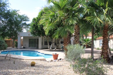 Large Backyard