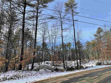 Lot 12 Kidder Dr unit 12, Freedom, NH 03836 - photo 3