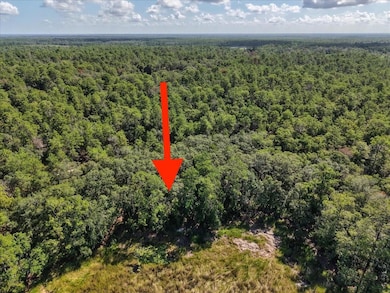 229 Arkansas St, Satsuma, FL 32189 - photo 3