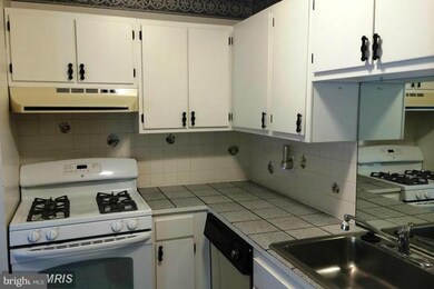 207 Erin Way unit 101, Reisterstown, MD 21136 - photo 7