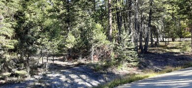 747 Spring Hill Rd, Kila, MT 59920 - photo 5