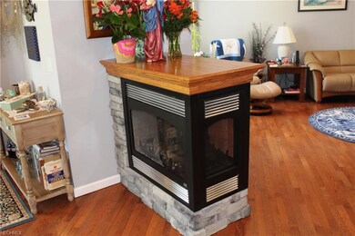 Double-sided fireplace between the living room and