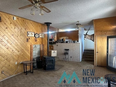 608 N Maple St, Carlsbad, NM 88220 - photo 7