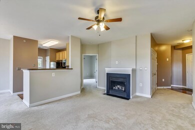 22611 Blue Elder Terrace unit 302, Ashburn, VA 20148 - photo 5