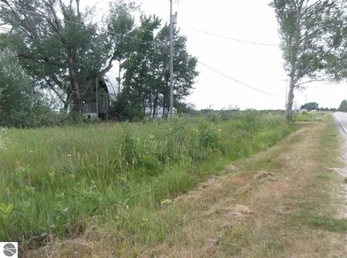 8215 Curtis Rd, Hale, MI 48739 - photo 6