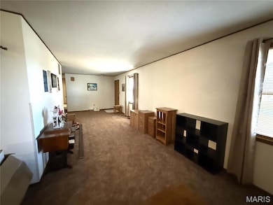 1458 N Carlyle Rd, Vandalia, IL 62471 - photo 4