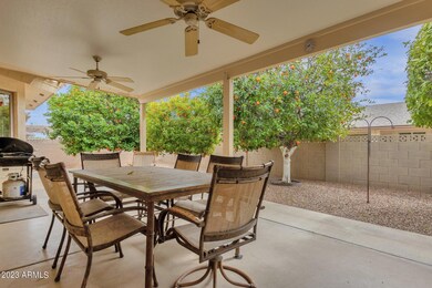 8255 E Navarro Ave, Mesa, AZ 85209 - photo 5