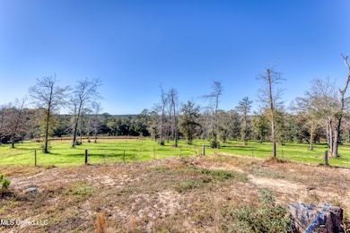 20915 Busby Rd, Vancleave, MS 39565 - photo 3