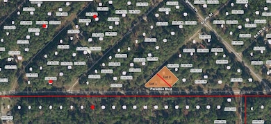 0 4th St, Georgetown Cove, FL 32139 - photo 4