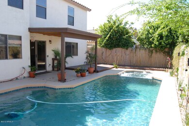 back yard