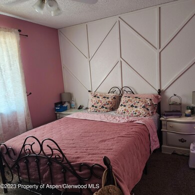 742 Legion St, Craig, CO 81625 - photo 6